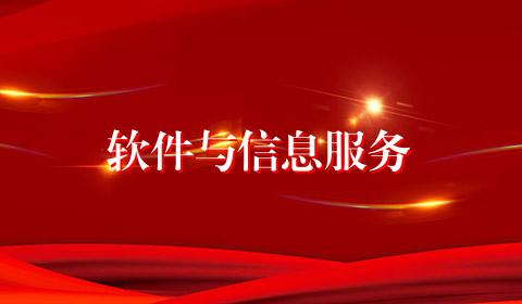 软件与信息服务