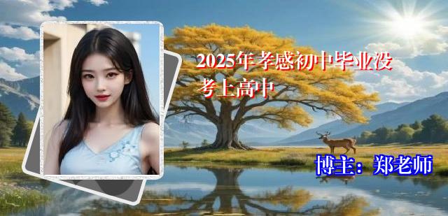 2025年孝感初中毕业没考上高中