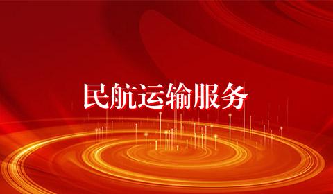 民航运输服务