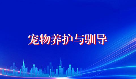 宠物养护与驯导