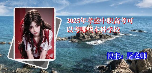 2025年孝感中职高考可以考哪些本科学校