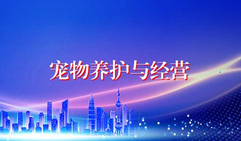宠物养护与经营