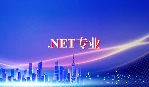 .NET专业