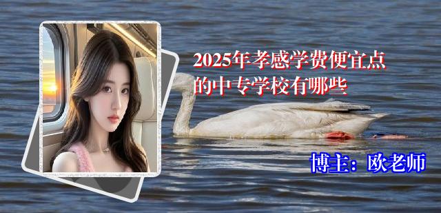 2025年孝感学费便宜点的中专学校有哪些