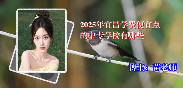 2025年宜昌学费便宜点的中专学校有哪些