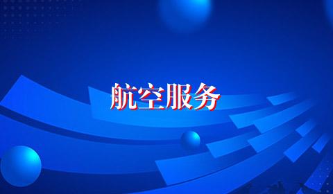 航空服务