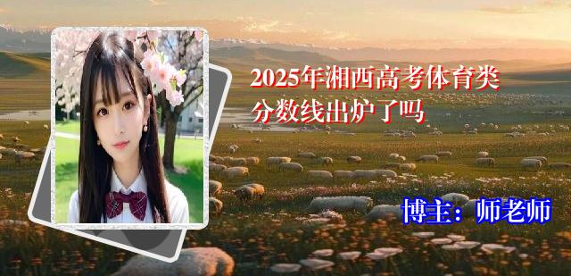 2025年湘西高考体育类分数线出炉了吗