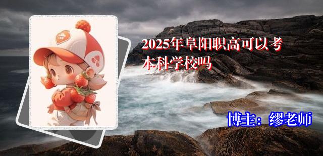 2025年阜阳职高可以考本科学校吗