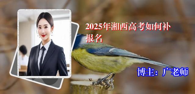 2025年湘西高考如何补报名