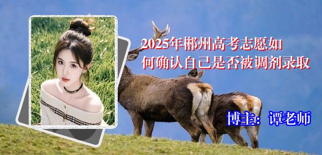 2025年郴州高考志愿如何确认自己是否被调剂录取