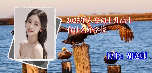 2025年六安初中升高中有什么好学校