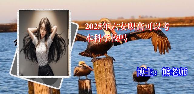 2025年六安职高可以考本科学校吗