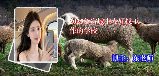 2025年宣城中专好找工作的学校