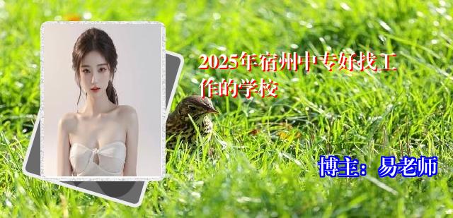 2025年宿州中专好找工作的学校