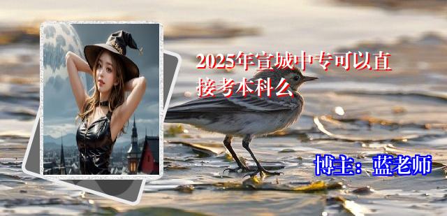 2025年宣城中专可以直接考本科么