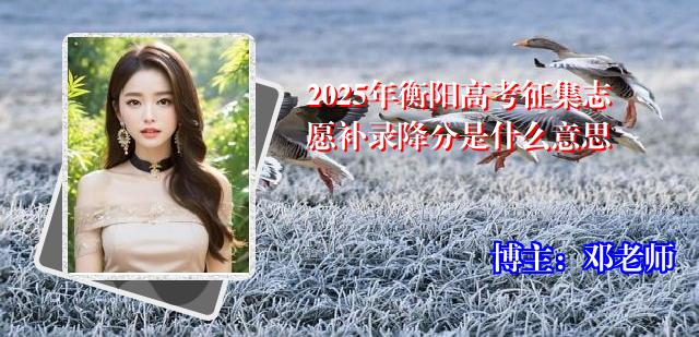 2025年衡阳高考征集志愿补录降分是什么意思