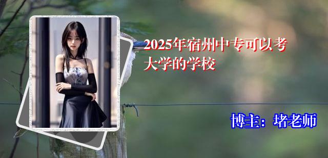 2025年宿州中专可以考大学的学校