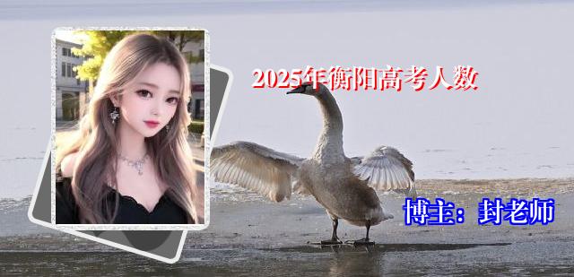 2025年衡阳高考人数
