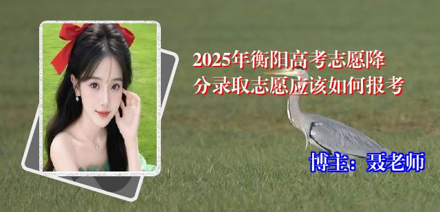 2025年衡阳高考志愿降分录取志愿应该如何报考