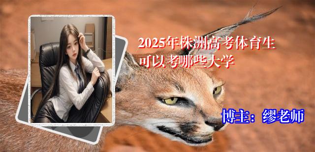 2025年株洲高考体育生可以考哪些大学