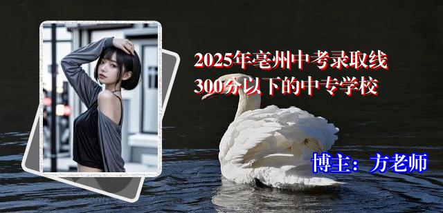 2025年亳州中考录取线300分以下的中专学校