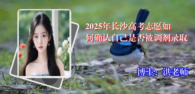 2025年长沙高考志愿如何确认自己是否被调剂录取