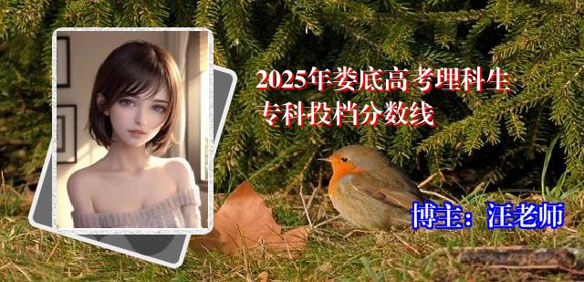 2025年娄底高考理科生专科投档分数线
