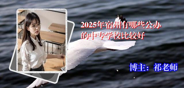 2025年宿州有哪些公办的中专学校比较好