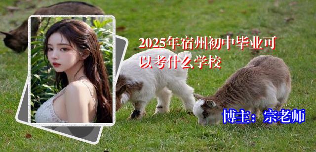2025年宿州初中毕业可以考什么学校