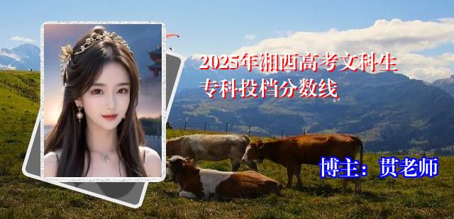 2025年湘西高考文科生专科投档分数线