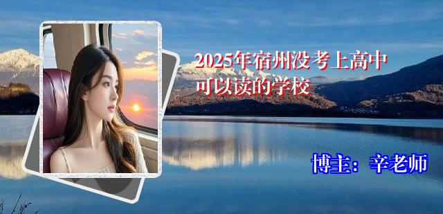 2025年宿州没考上高中可以读的学校