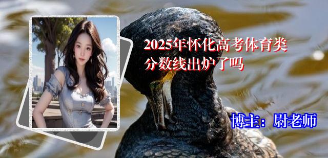 2025年怀化高考体育类分数线出炉了吗