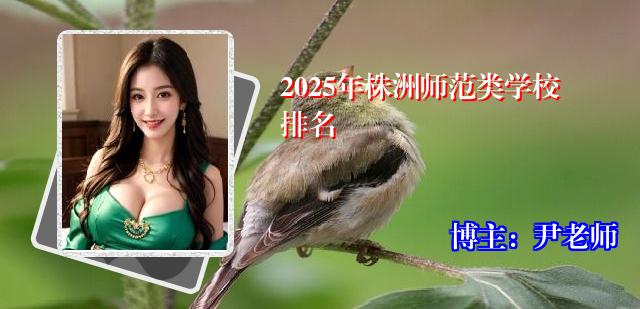 2025年株洲师范类学校排名