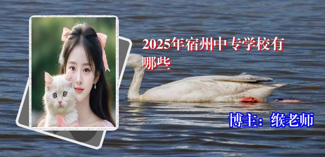 2025年宿州中专学校有哪些