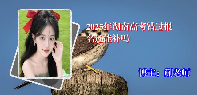 2025年湖南高考错过报名还能补吗
