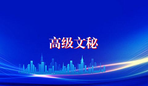 高级文秘