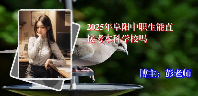 2025年阜阳中职生能直接考本科学校吗