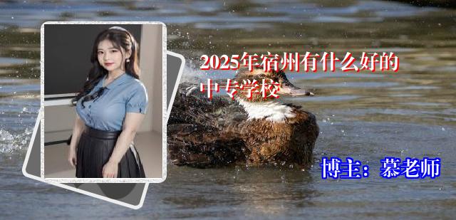 2025年宿州有什么好的中专学校
