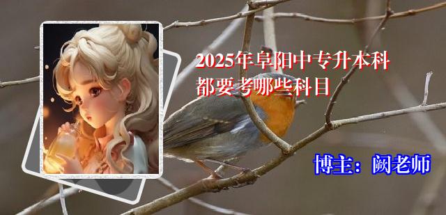 2025年阜阳中专升本科都要考哪些科目