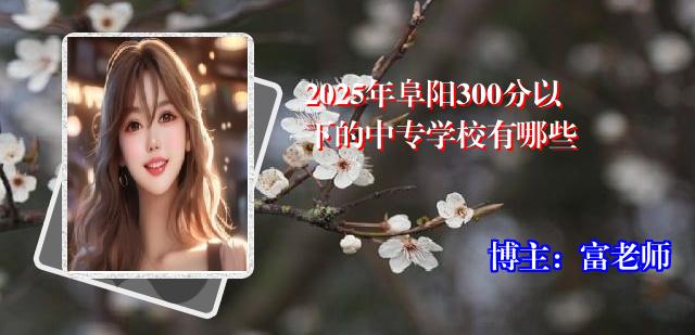 2025年阜阳300分以下的中专学校有哪些