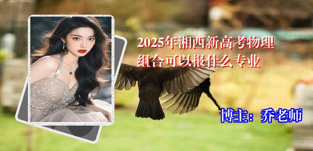 2025年湘西新高考物理组合可以报什么专业