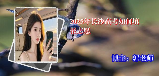 2025年长沙高考如何填报志愿