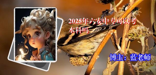 2025年六安中专可以考本科吗