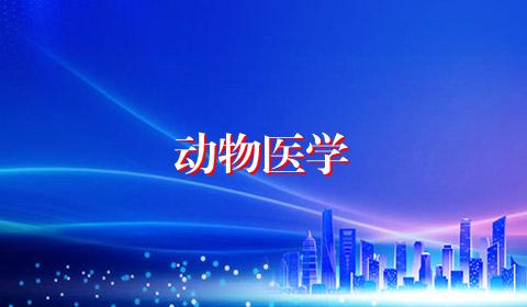 动物医学