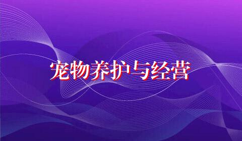 宠物养护与经营