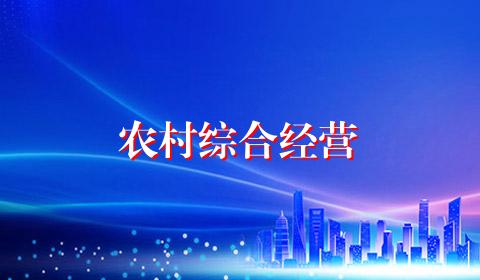 农村综合经营