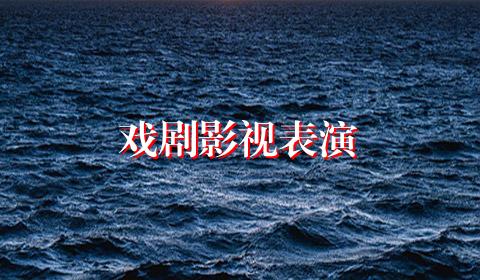 戏剧影视表演