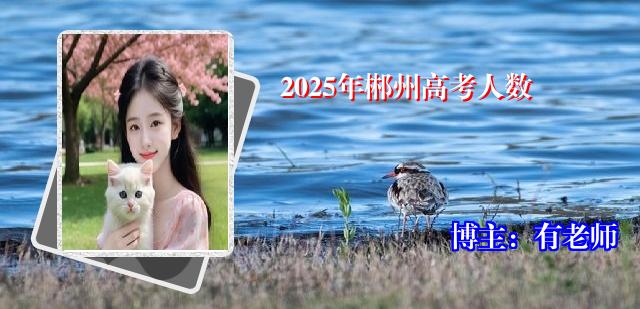 2025年郴州高考人数