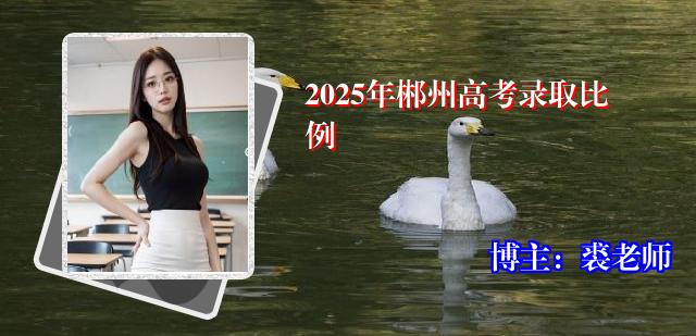 2025年郴州高考录取比例