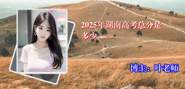 2025年湖南高考总分是多少